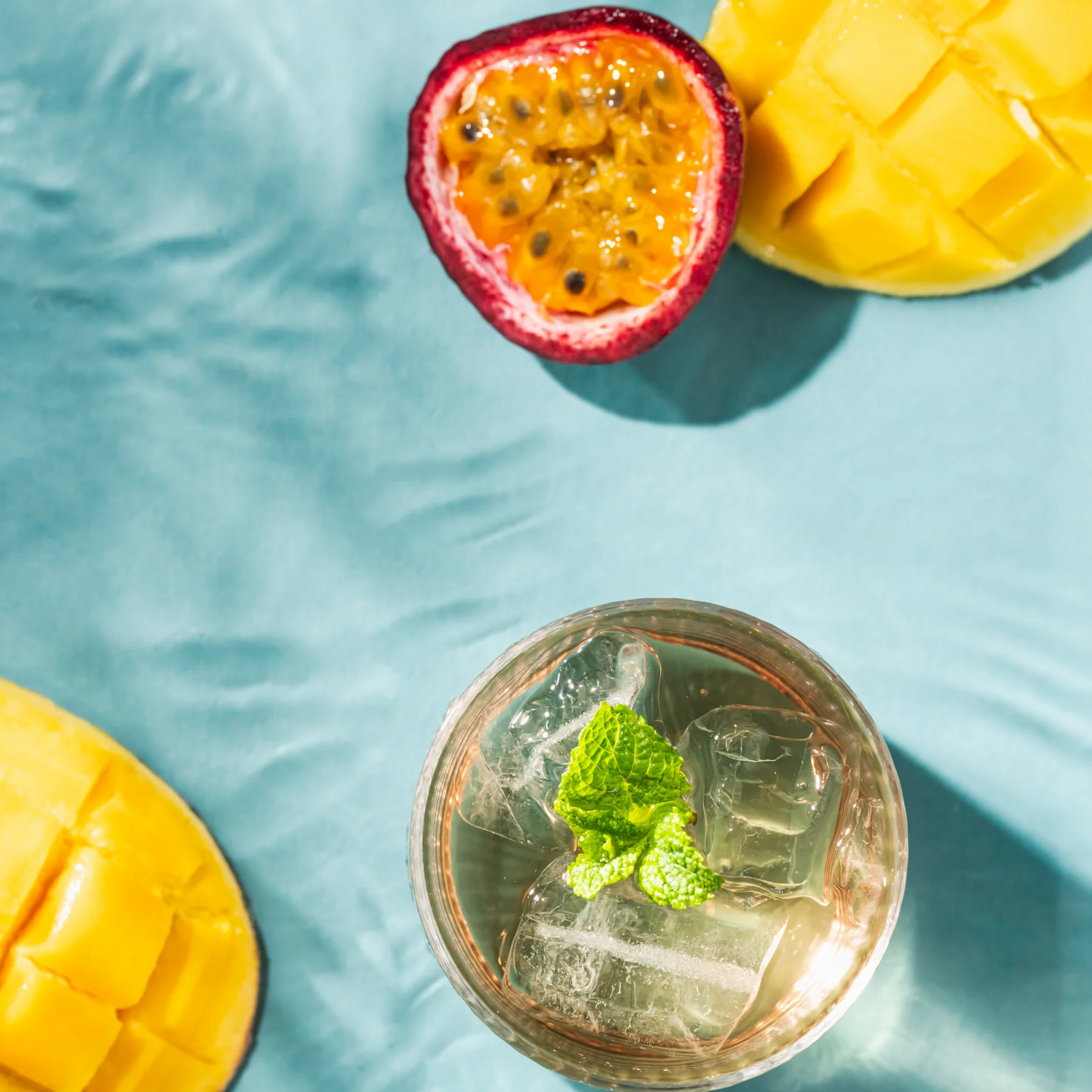 AquaExotica - Image 3
